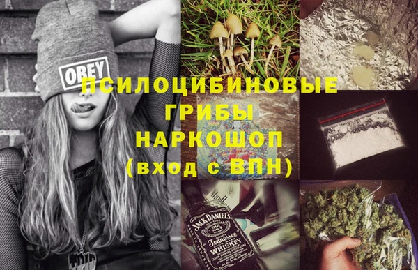 дживик Дмитровск