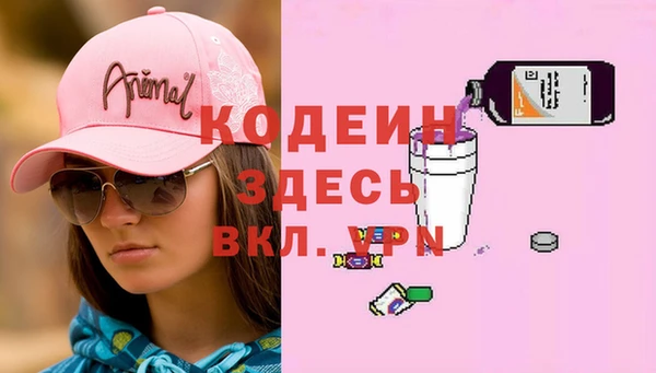 соль ск Дмитров