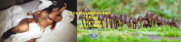 спайс Армянск