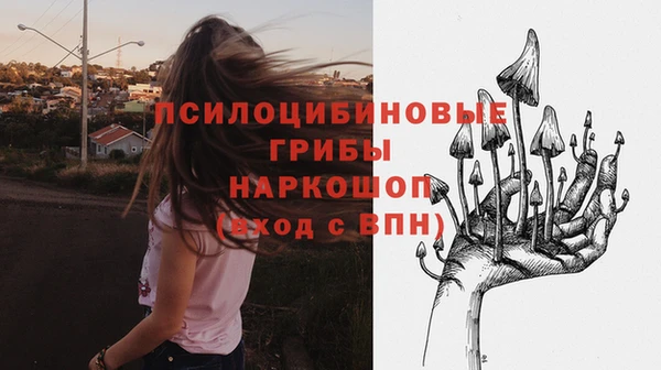крисы Аркадак