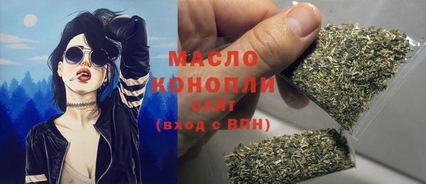 соль ск Дмитров