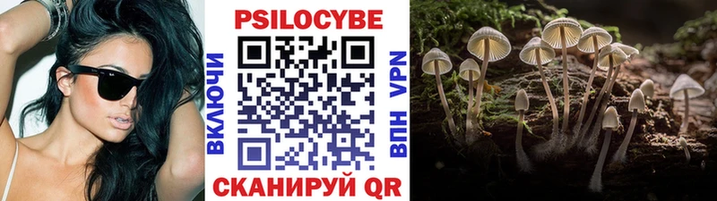 Псилоцибиновые грибы GOLDEN TEACHER  как найти закладки  Карабаш 